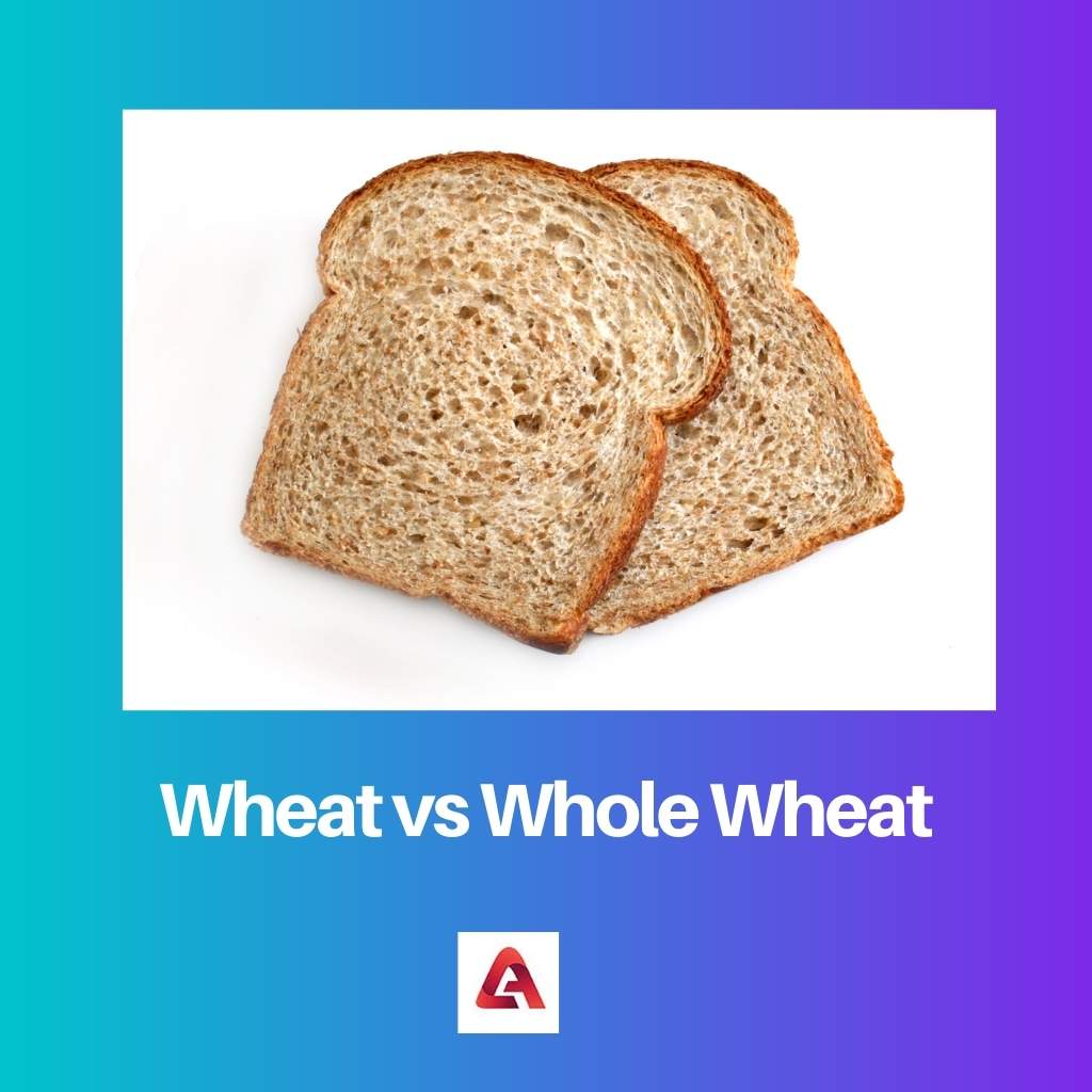 Wheat vs Whole Wheat