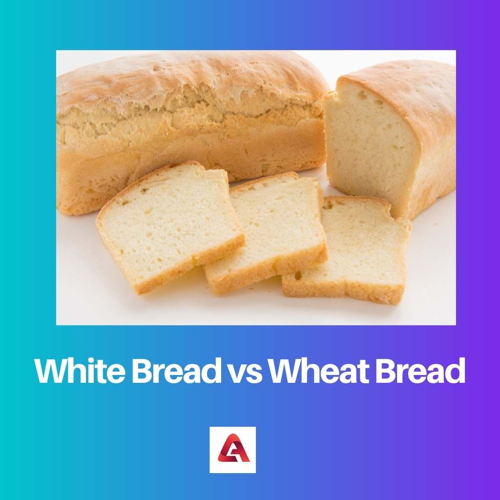 白面包与小麦面包