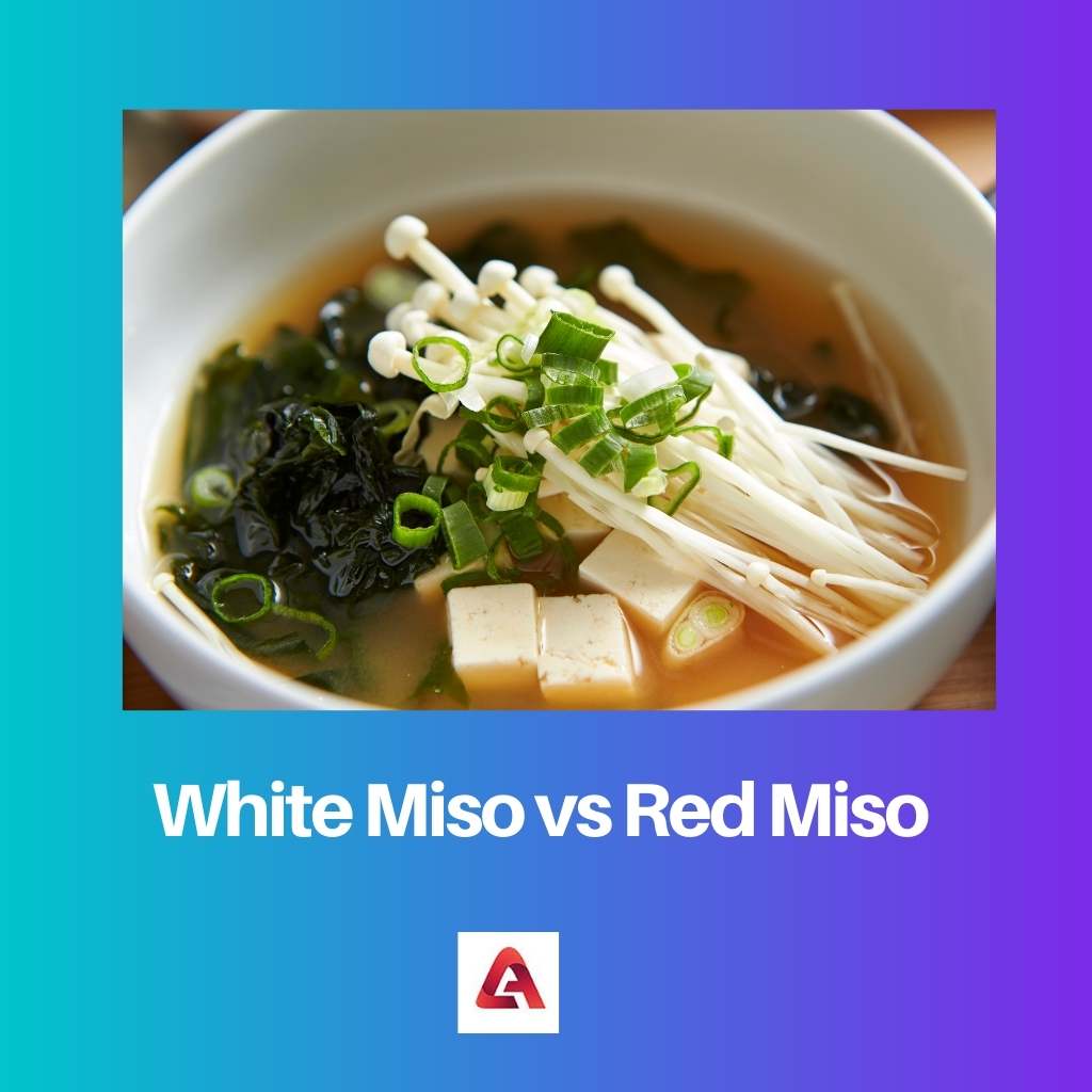 Miso Blanc vs Miso Rouge