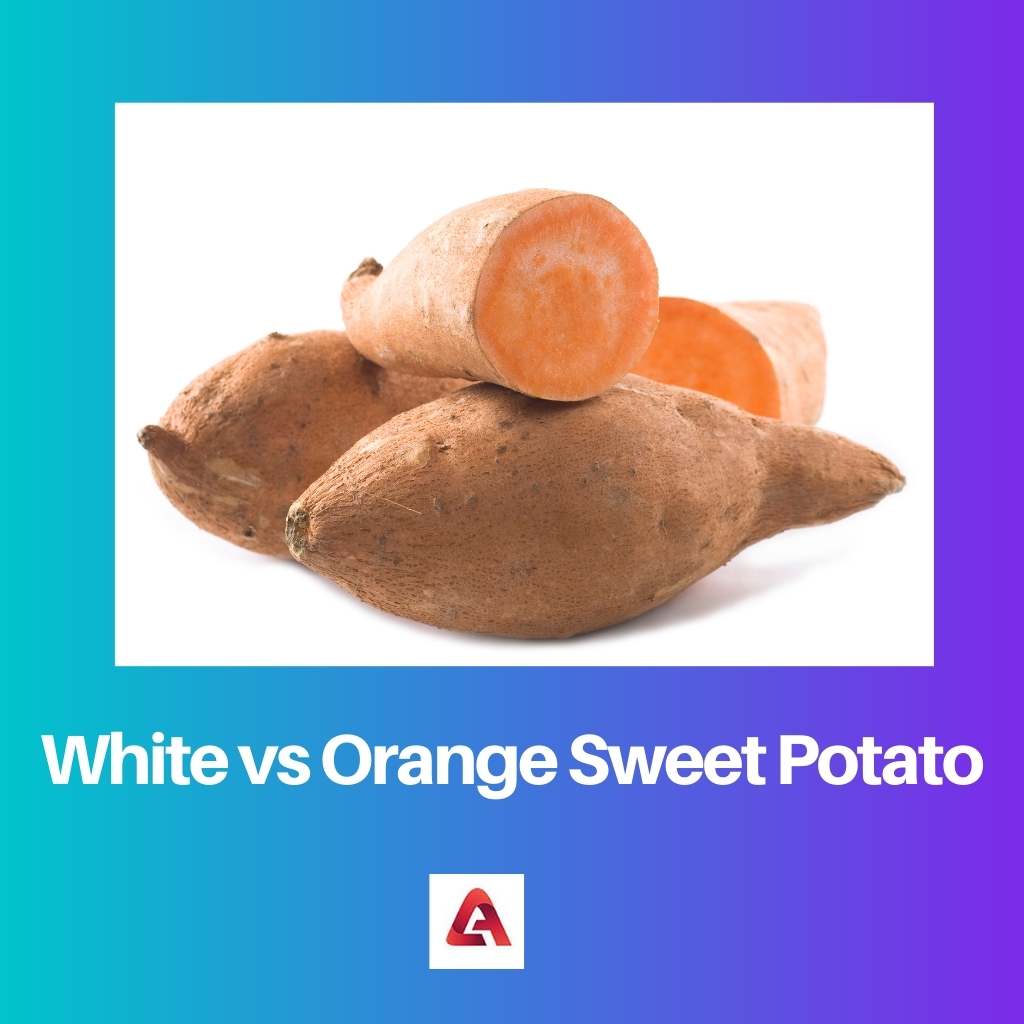 Weiße vs. orangefarbene Süßkartoffel