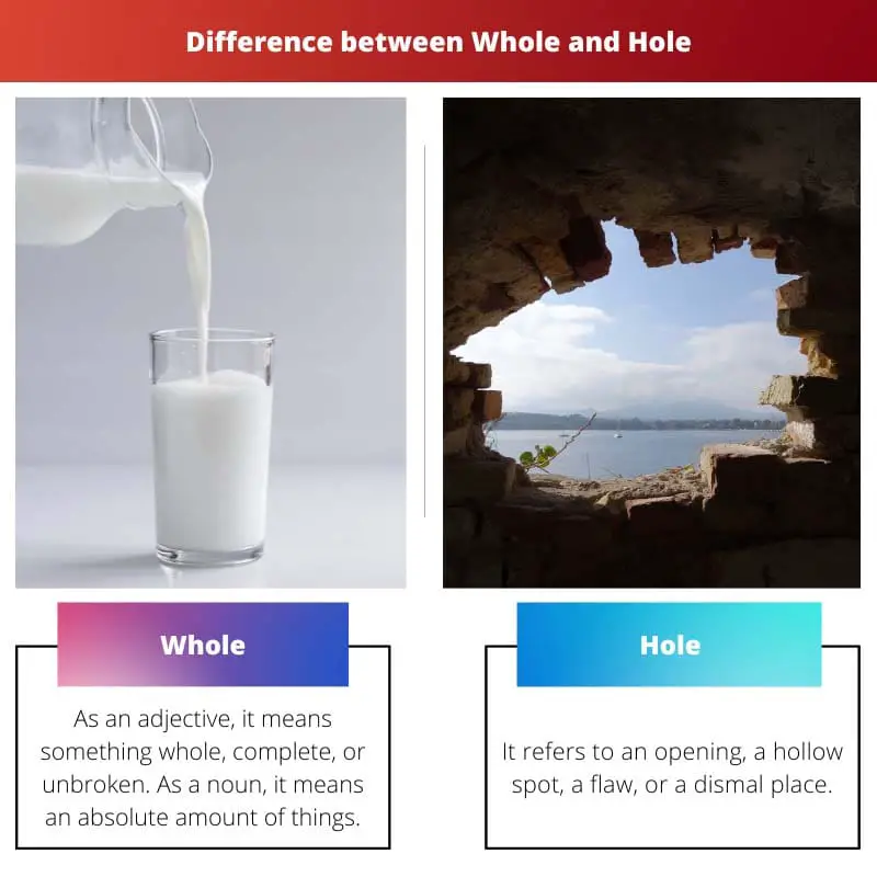 Whole vs Hole – Sự khác biệt là gì