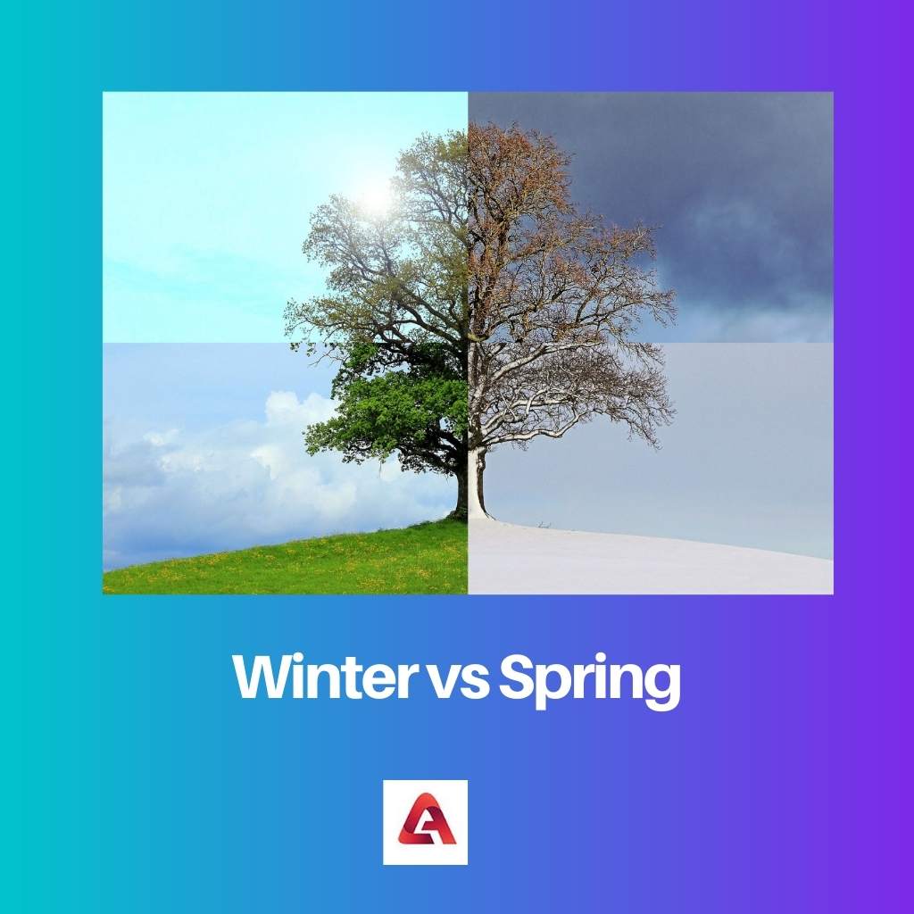 Winter vs Spring