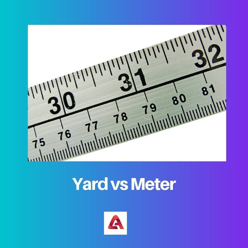 Yard vs Meter
