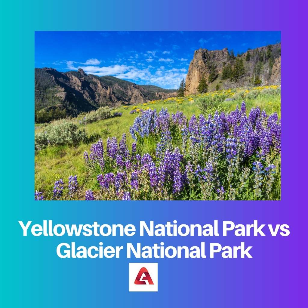 Yellowstone National Park vs Glacier National Park