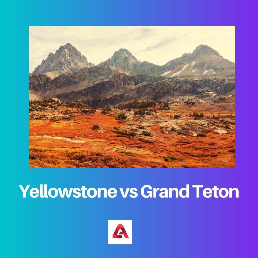 Yellowstone contre Grand Teton