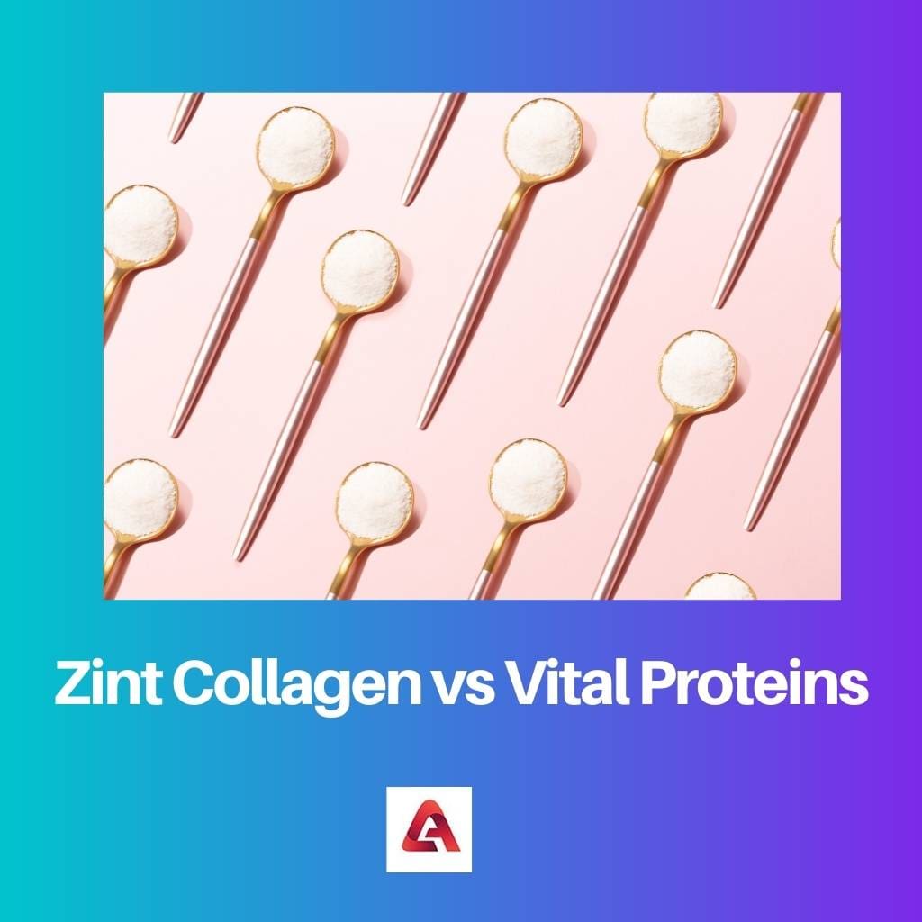 Zint Collagen vs Vital Proteins