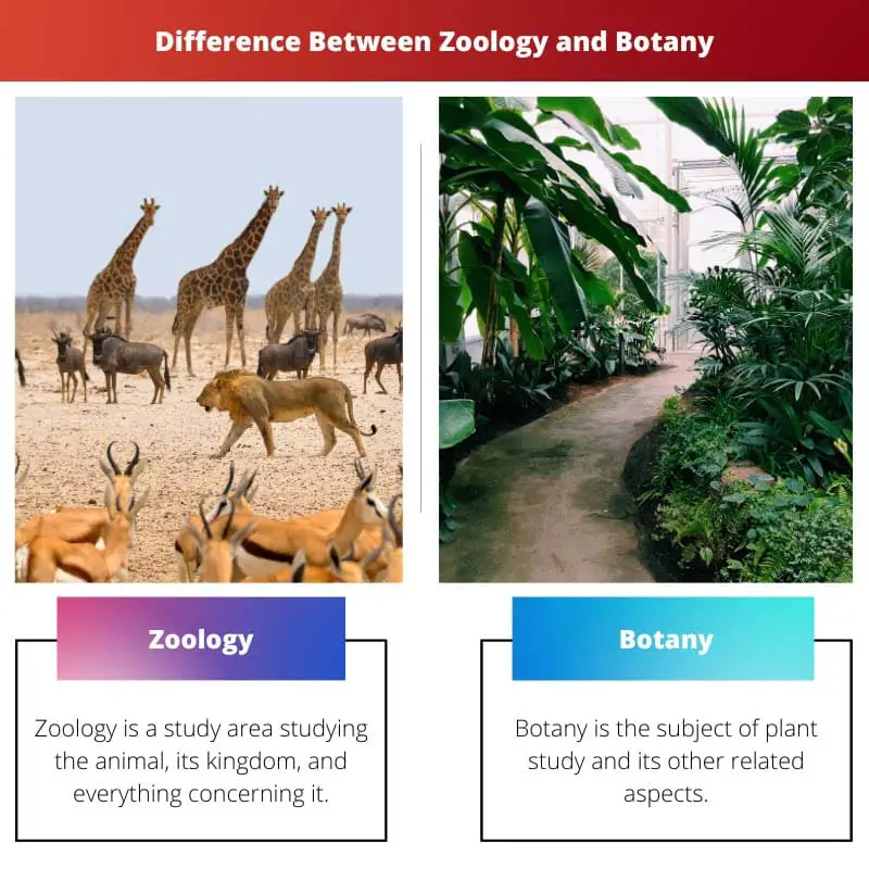 Zooloģija pret botāniku - atšķirība starp zooloģiju un botāniku