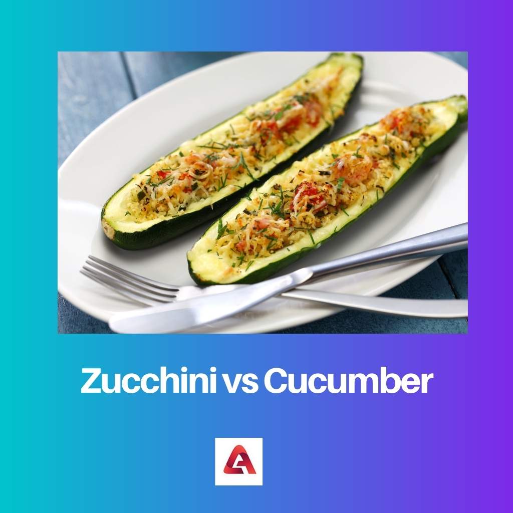 Zucchini gegen Gurke