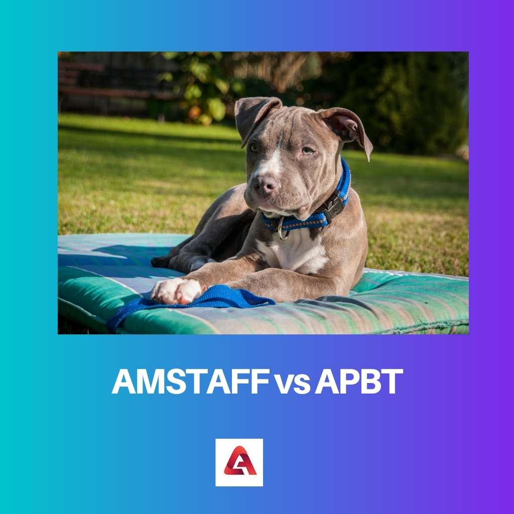 AMSTAFF contre APBT