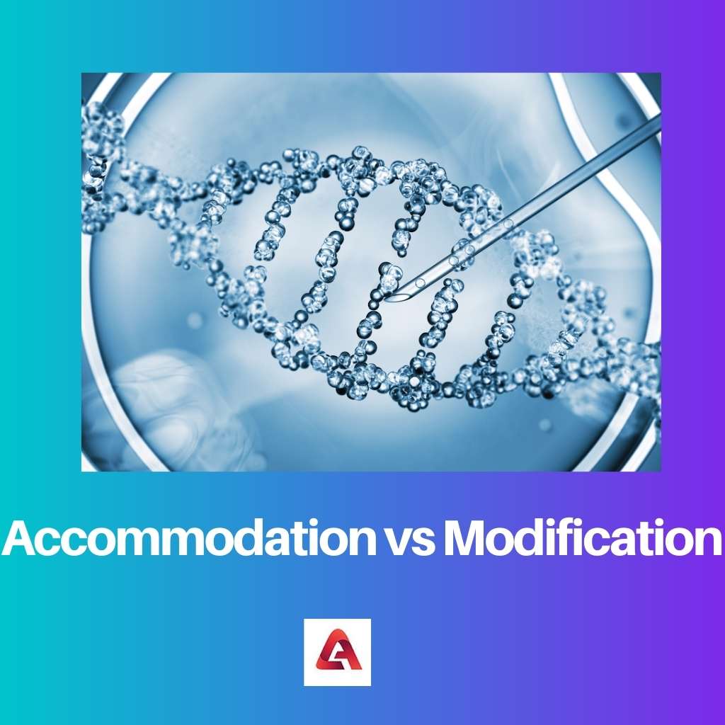 Accommodation vs Modification
