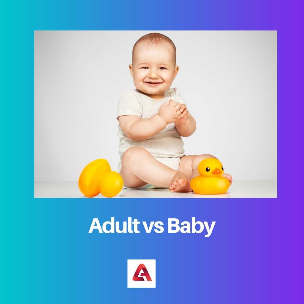 Volwassene versus baby
