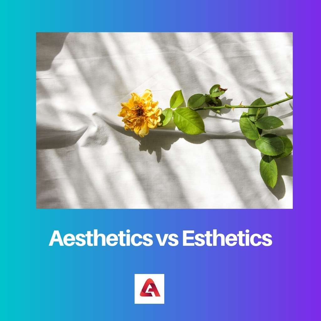 Estetika vs estetika