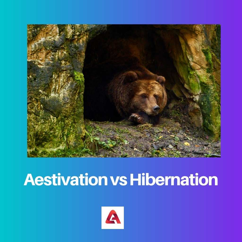 Aestivace vs hibernace