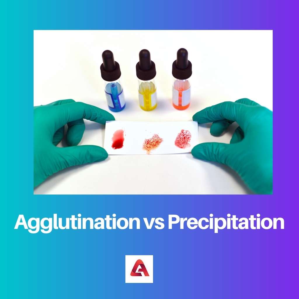Aglutinação vs Precipitação