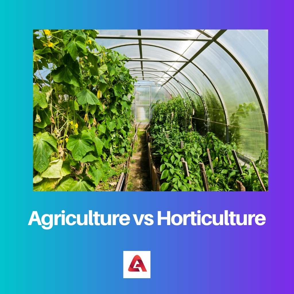 Сельское хозяйство против садоводства