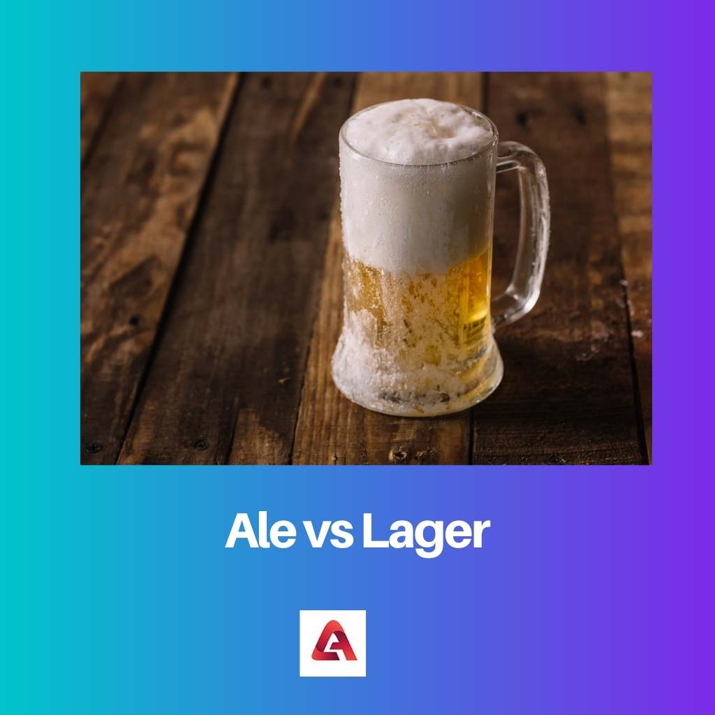 Ale versus Lager