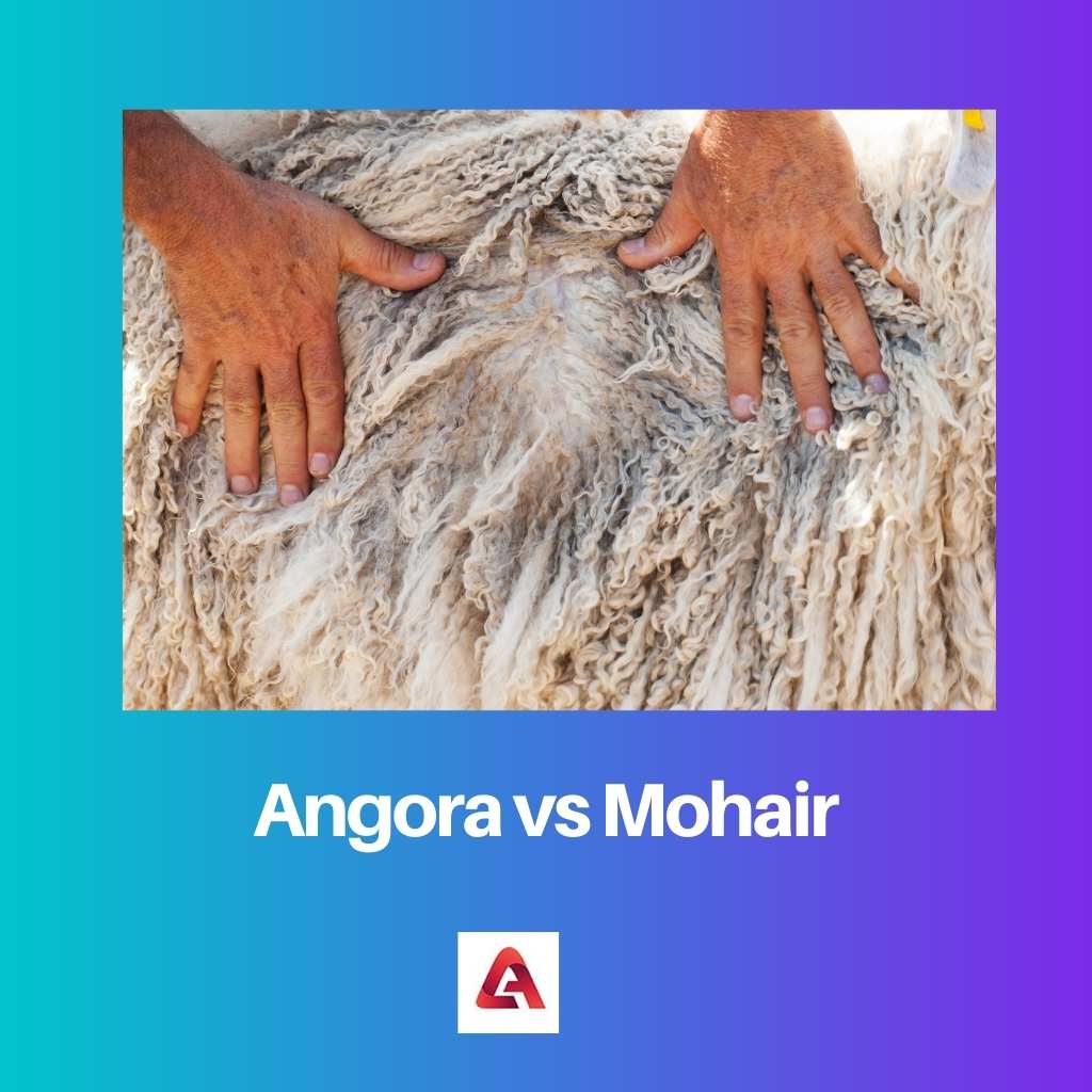 安哥拉羊毛 vs 马海毛