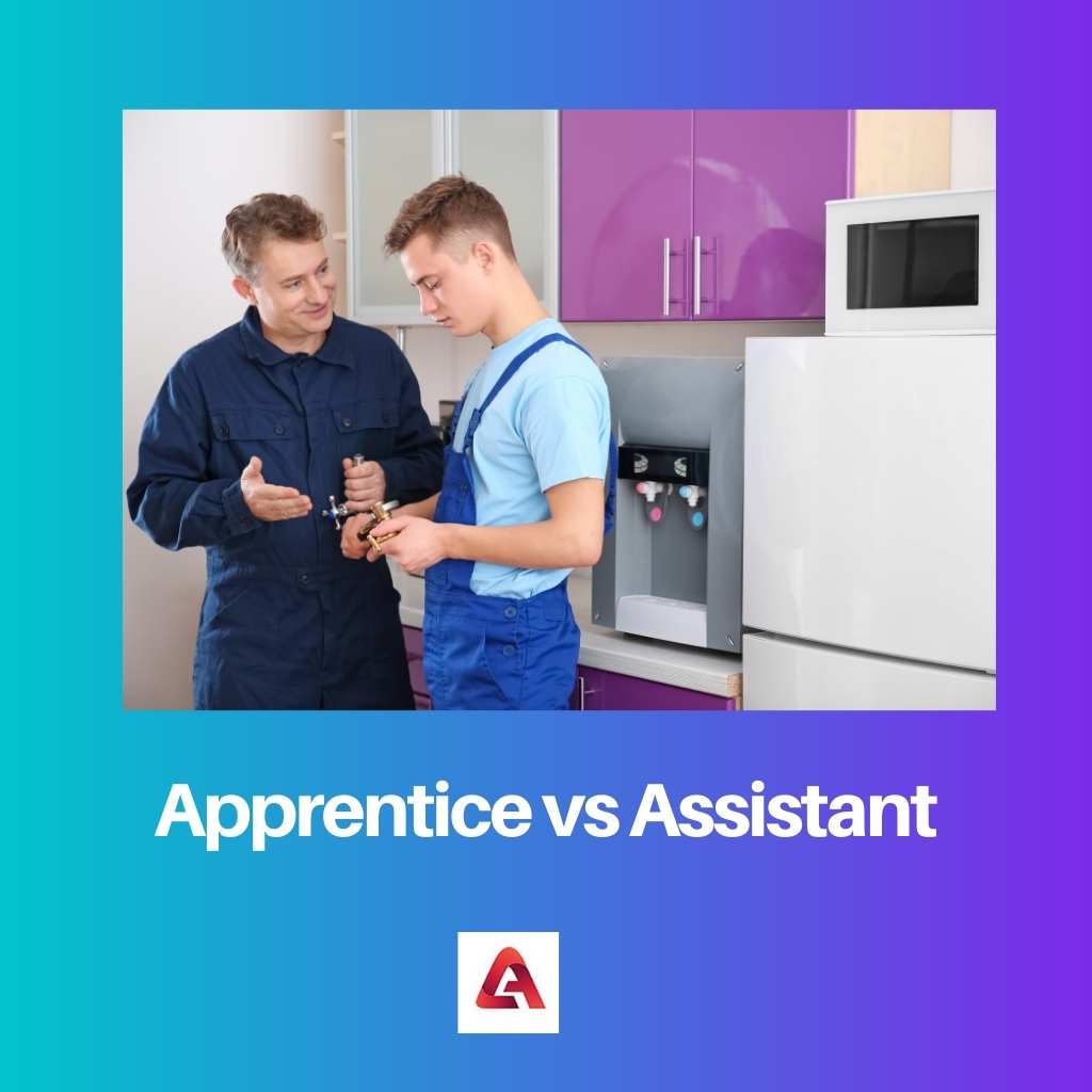 Aprendiz vs Assistente