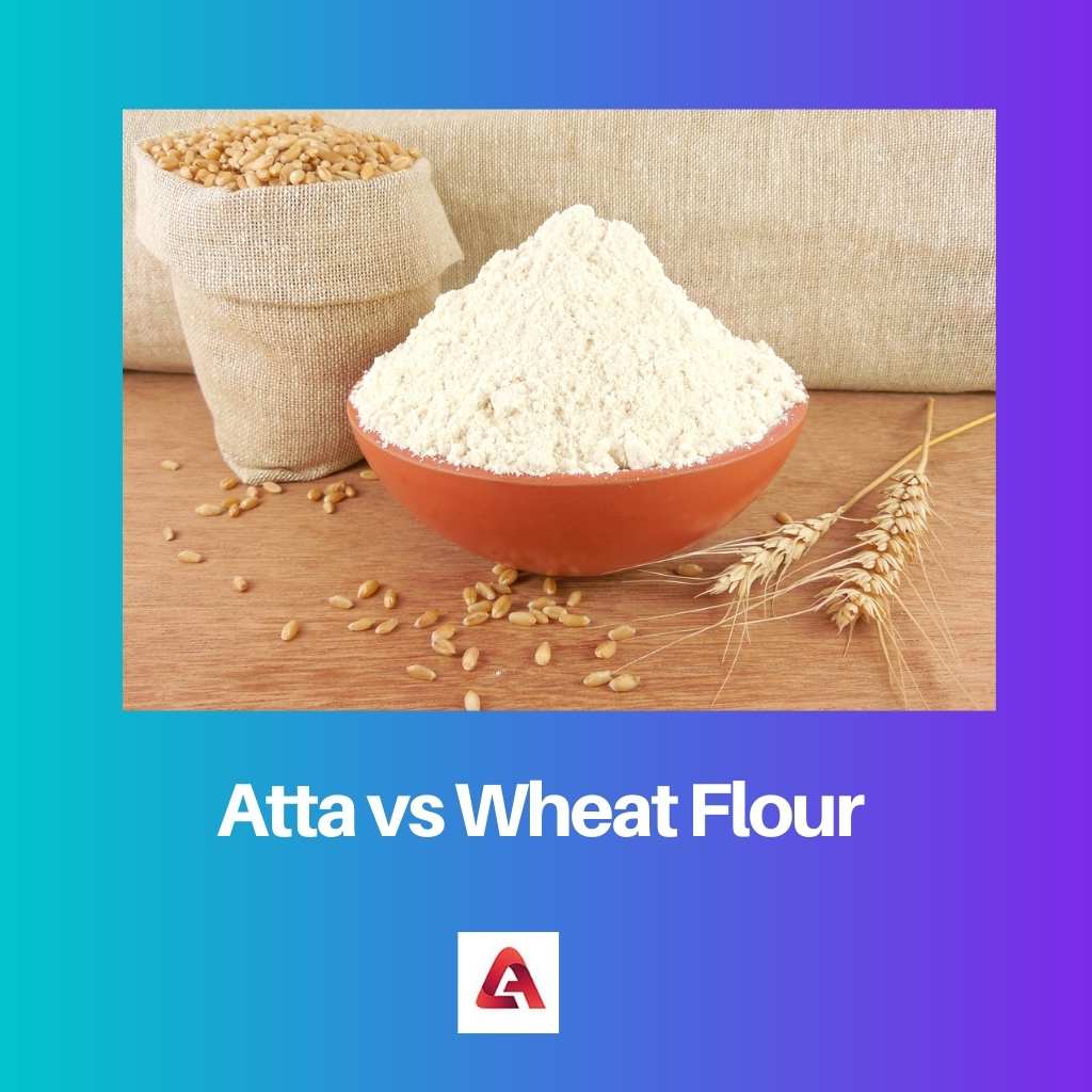 Atta vs harina de trigo
