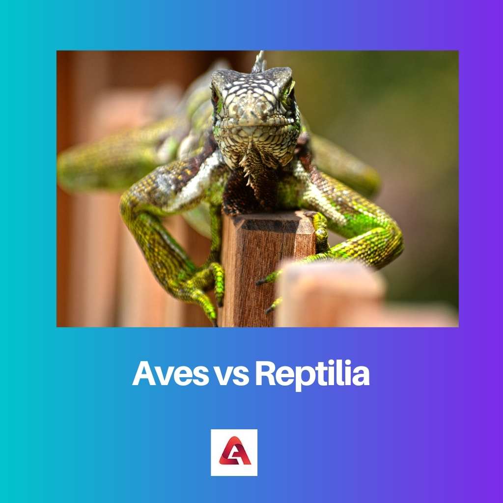 Aves versus Reptilia