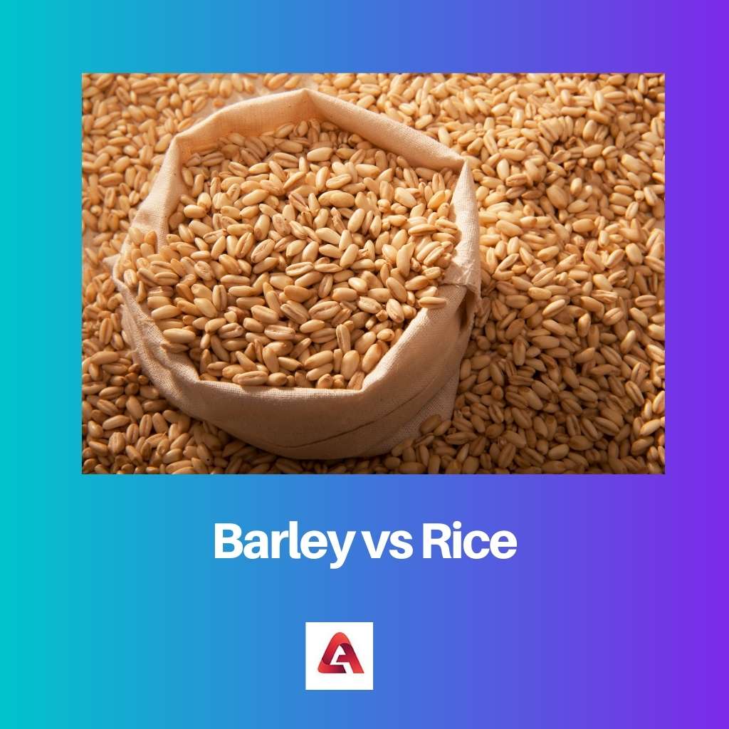 Gerste gegen Reis