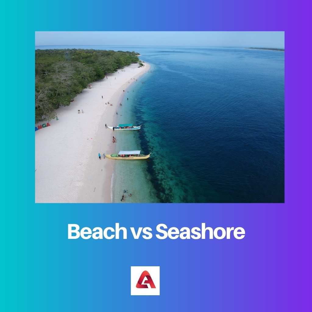 Παραλία vs Ακτή