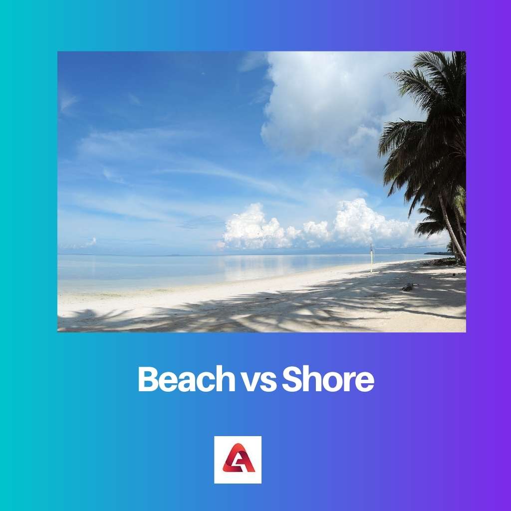 ชายหาด vs ฝั่ง