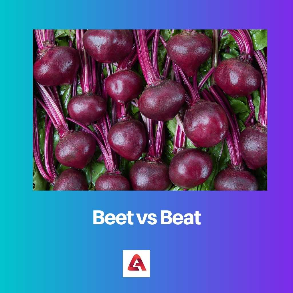 Betterave contre Beat
