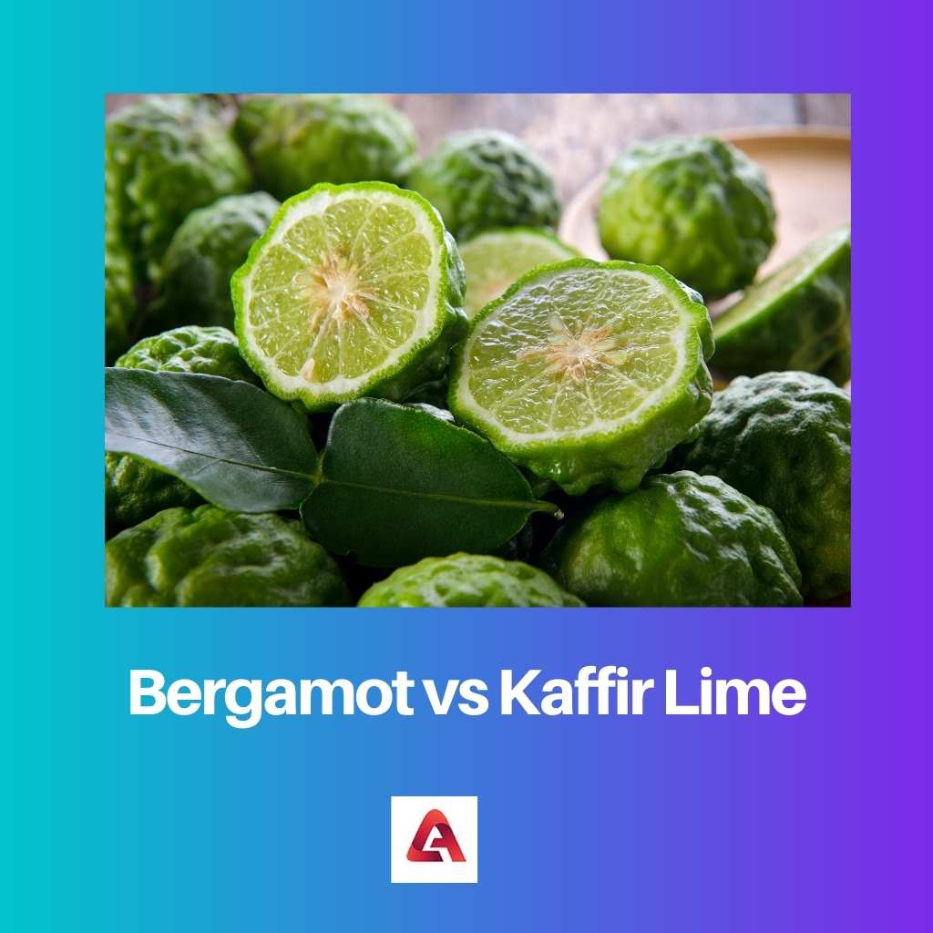 Bergamot vs Kaffir Lime