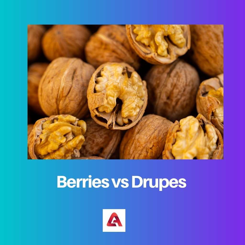 ผลเบอร์รี่ vs Drupes
