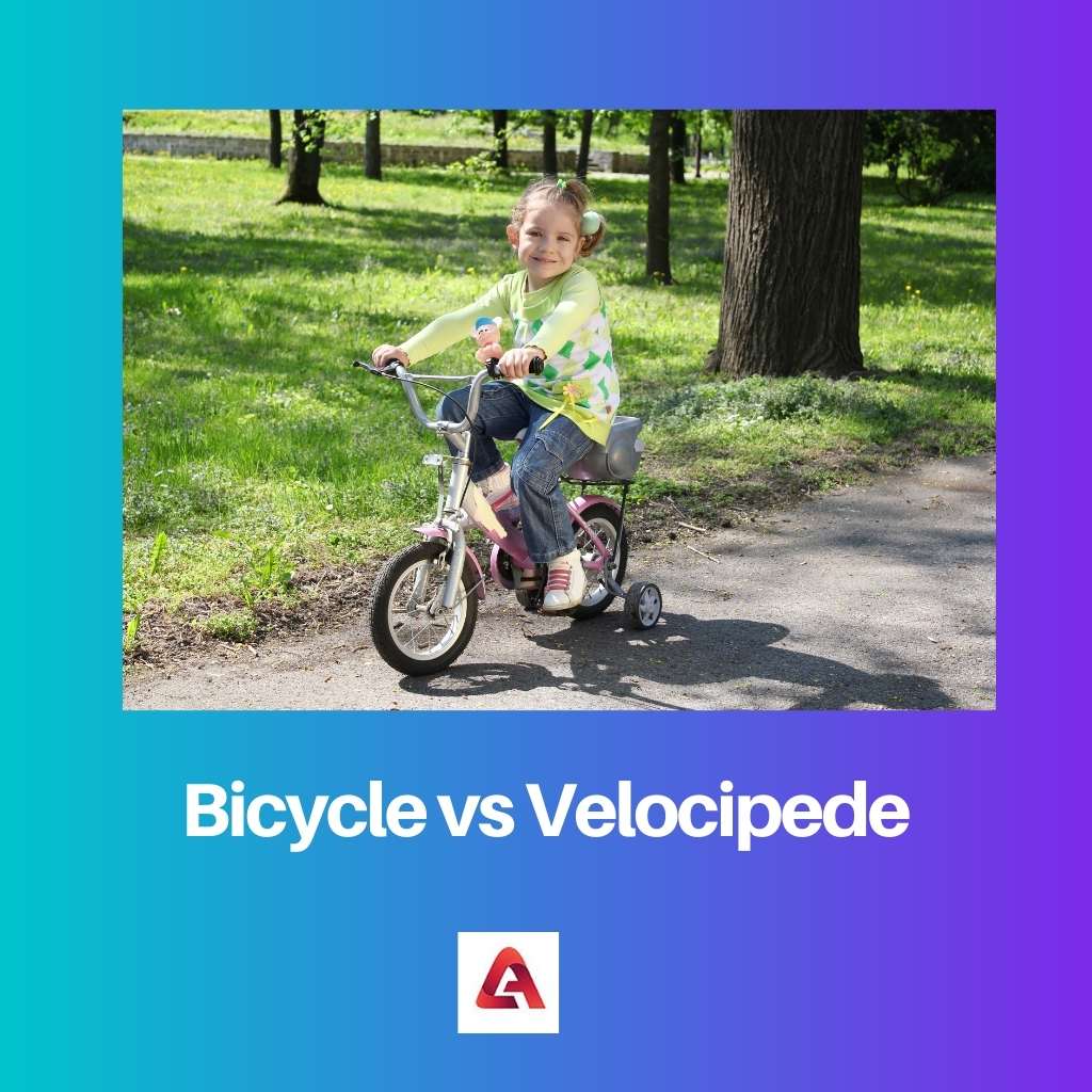 Bicycle vs Velocipede