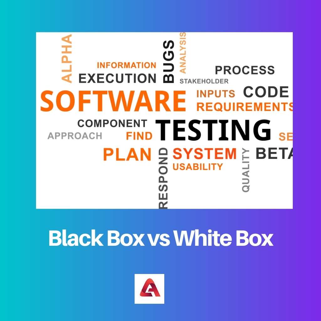 Caja negra vs blanca
