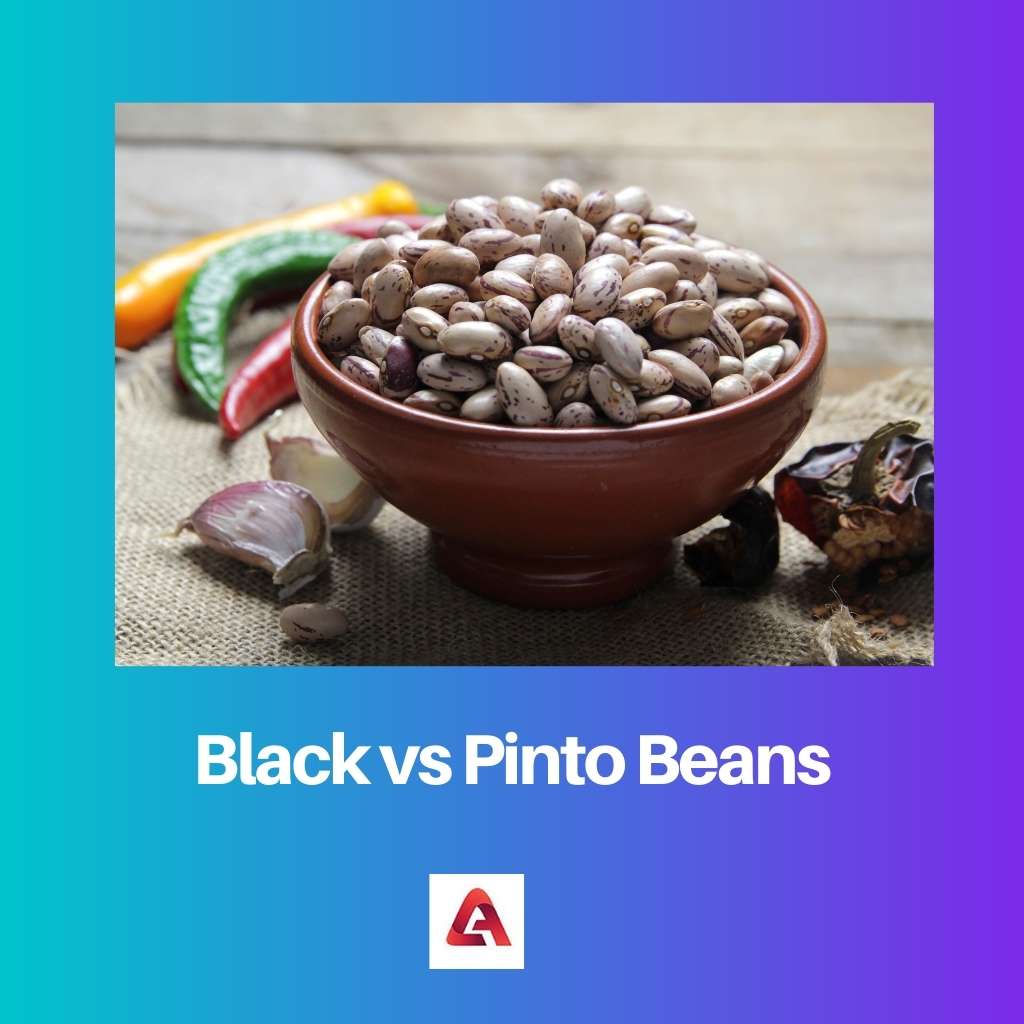 Black vs Pinto Beans