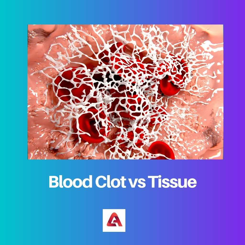 Coagulo di sangue contro tessuto