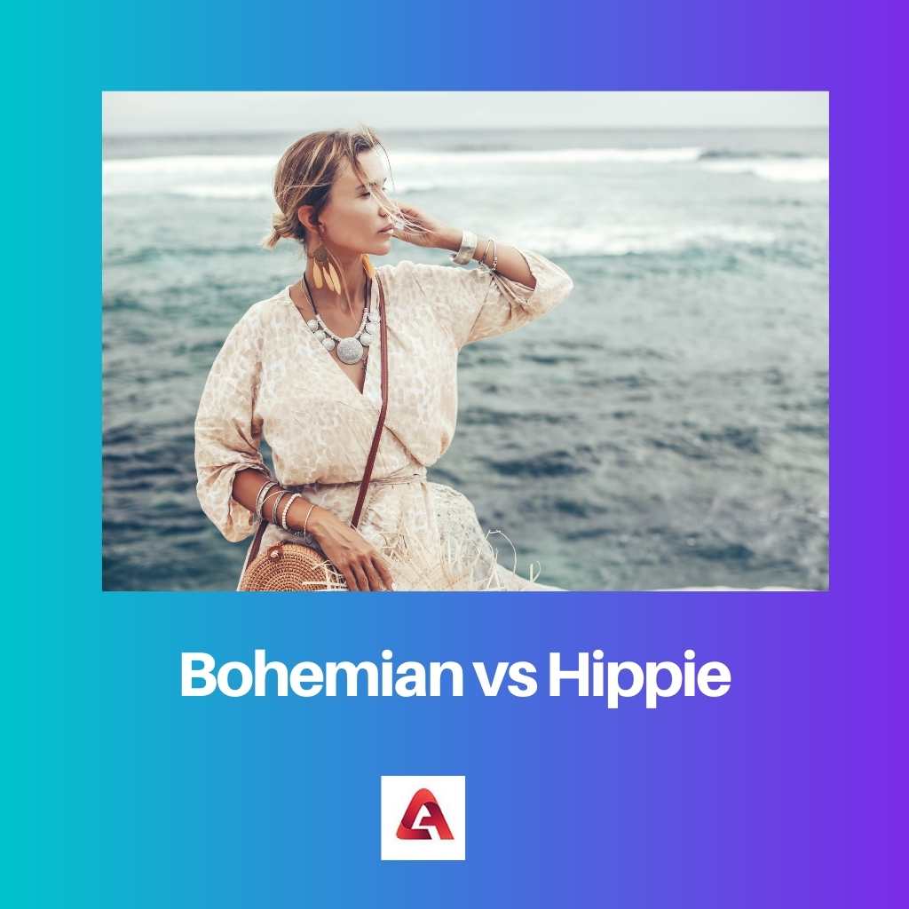 Bohème vs Hippie