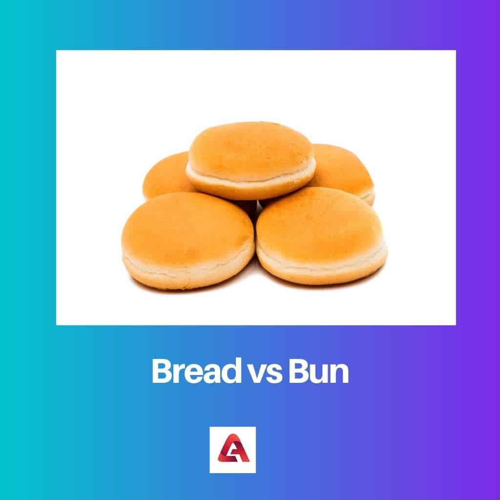 Bread vs Bun Difference and Comparison