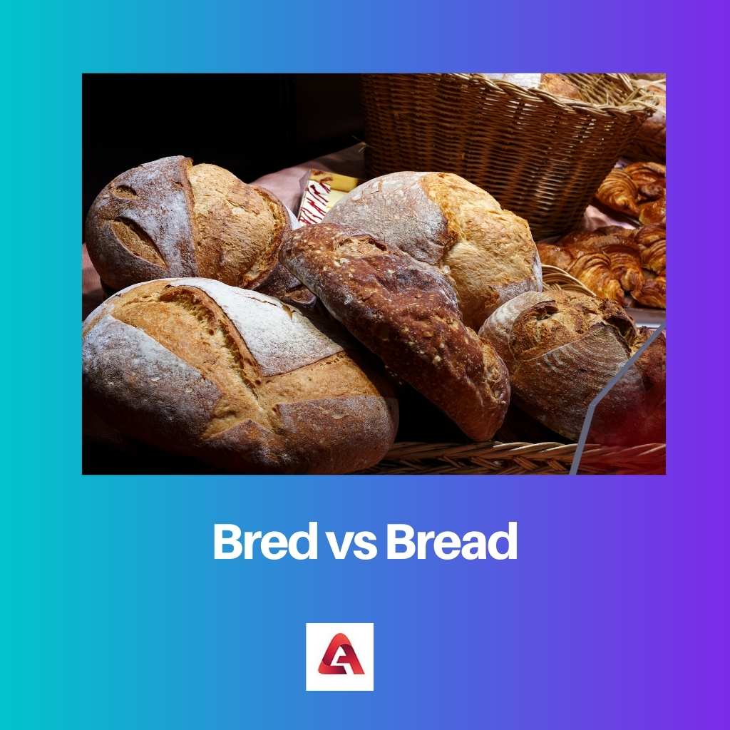 Bred vs Bánh mì