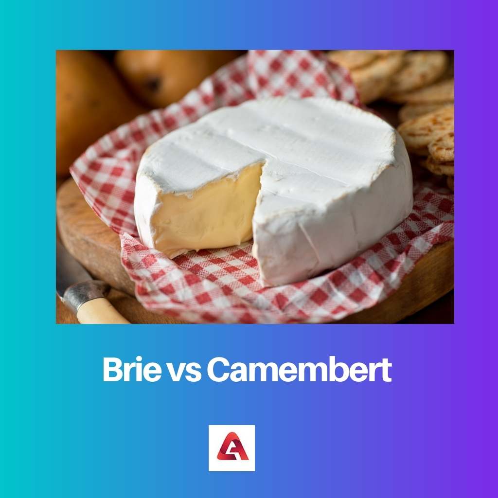 Brie vs Camembert