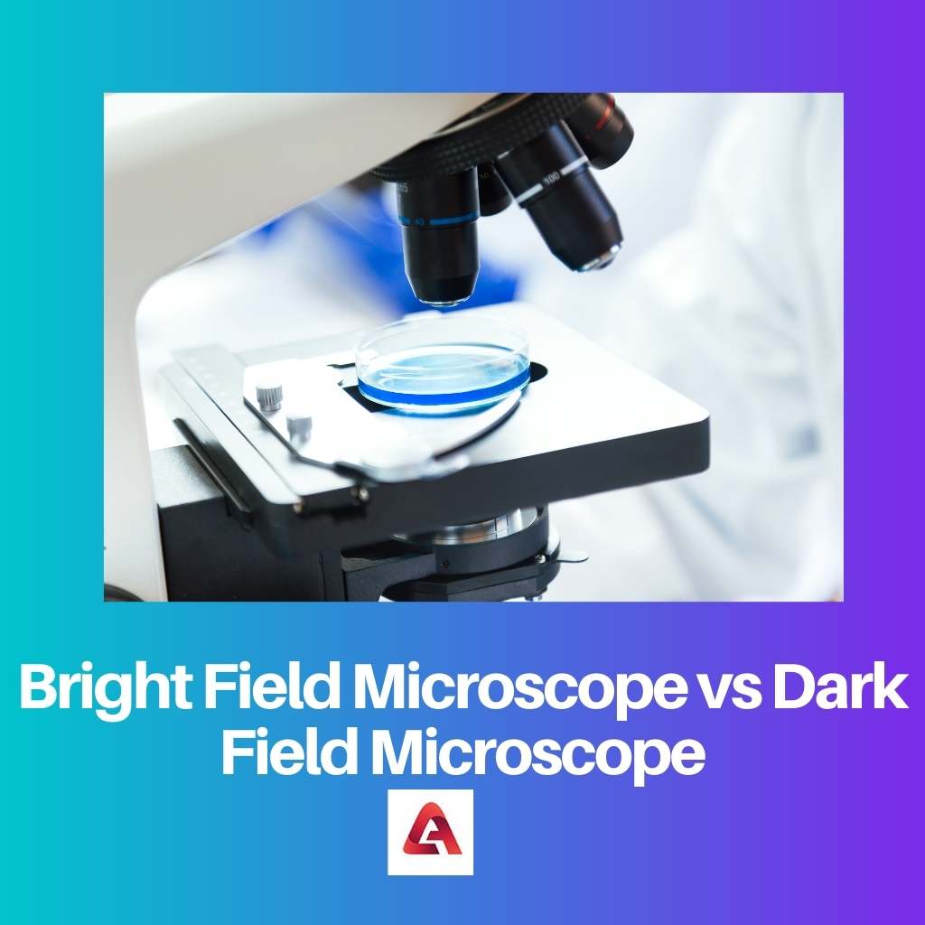 Bright Field Microscope vs Dark Field Microscope