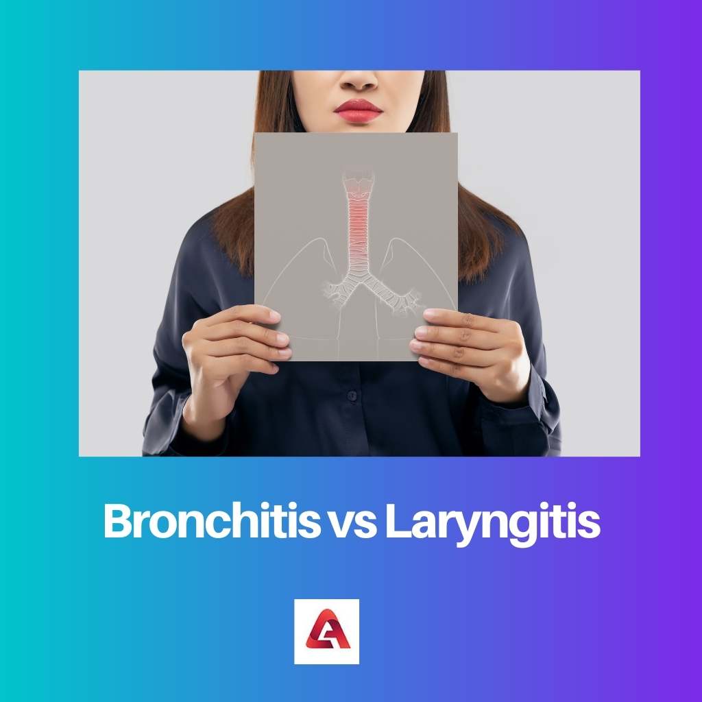 Bronchitis gegen Laryngitis