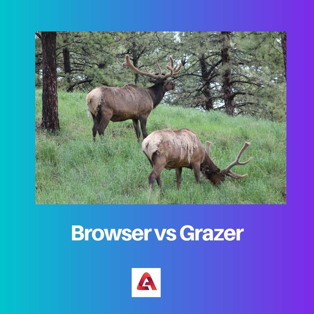 Browser versus Grazer
