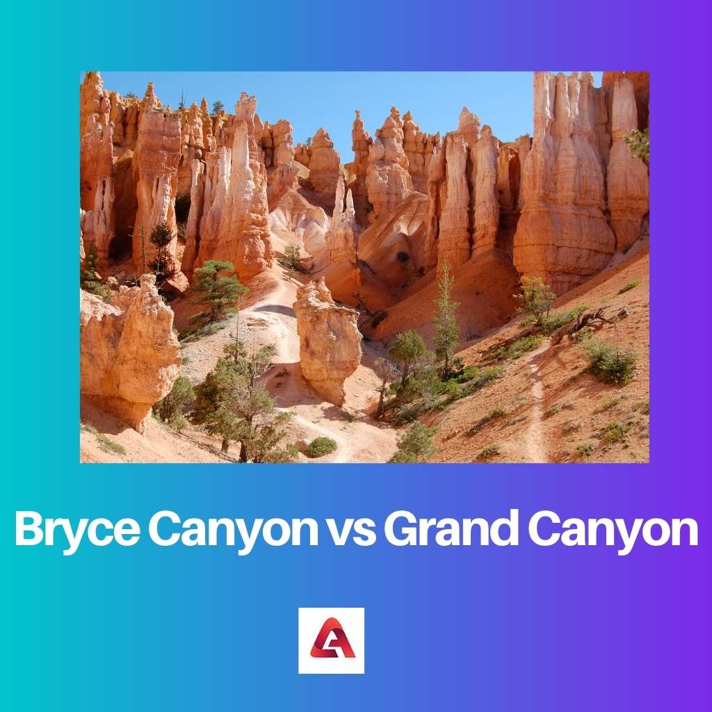 Cañón Bryce vs Gran Cañón