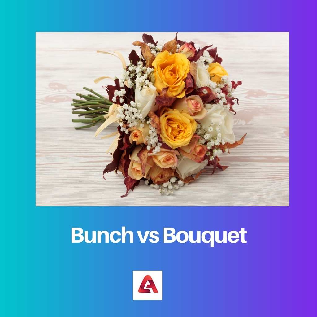 Bouquet contre bouquet