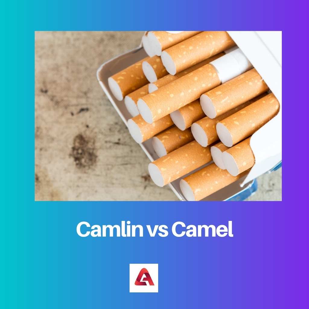 Camlin vs Camel