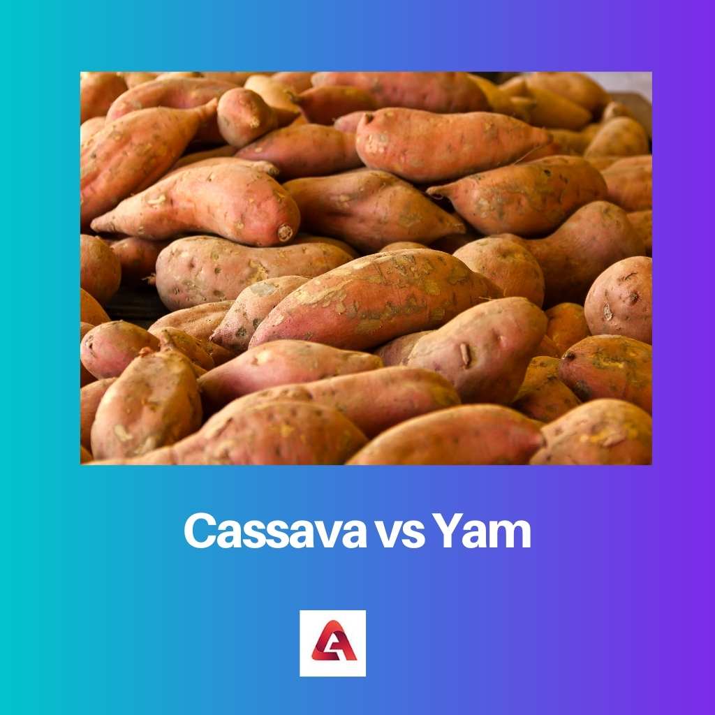 Cassava vs Yam