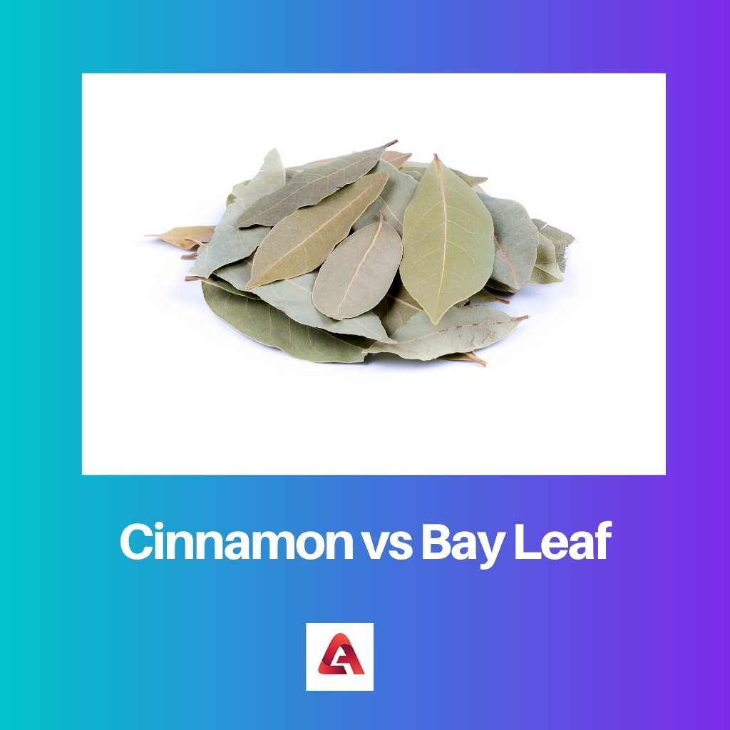 Cinnamon vs Bay Leaf