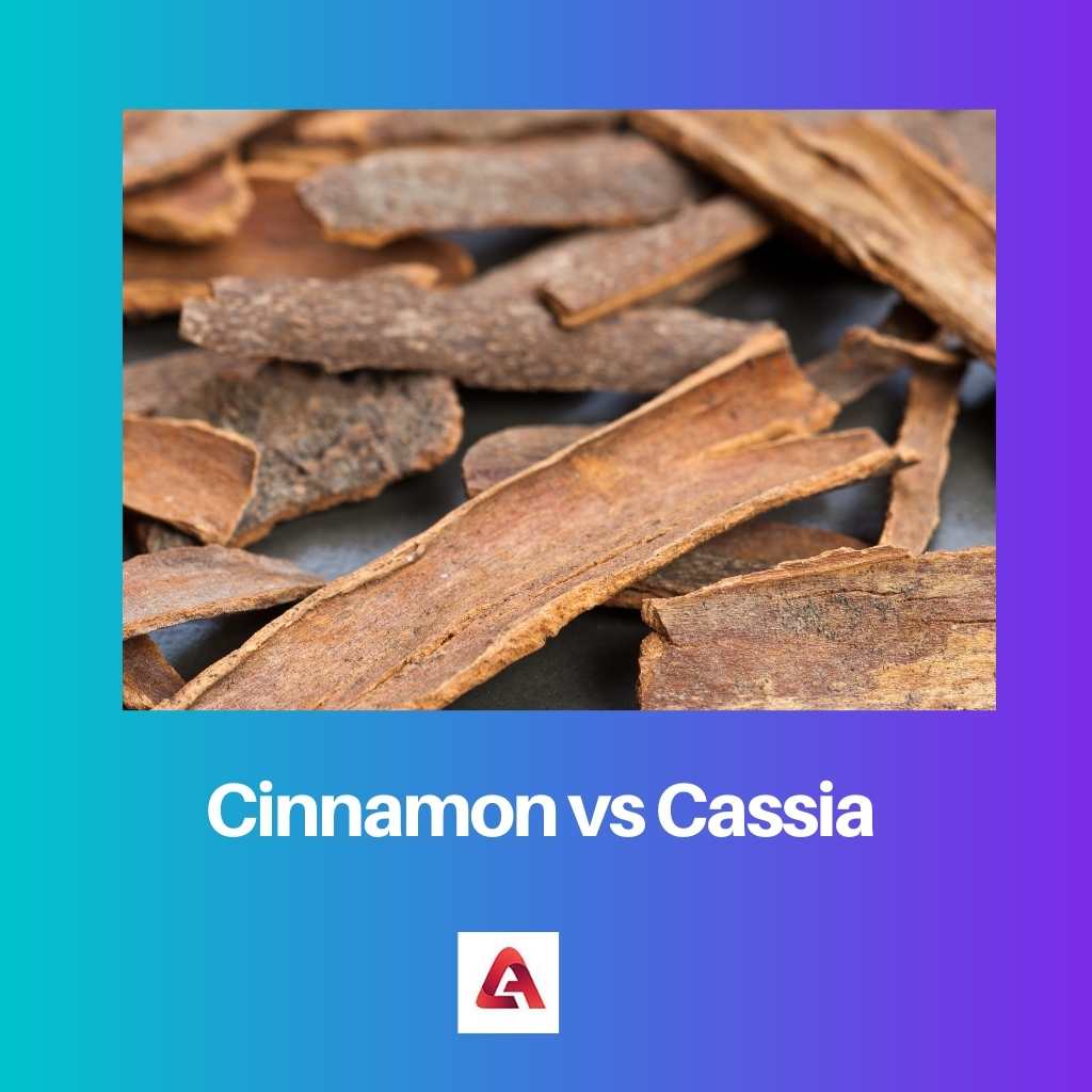 Cannelle vs Cassia
