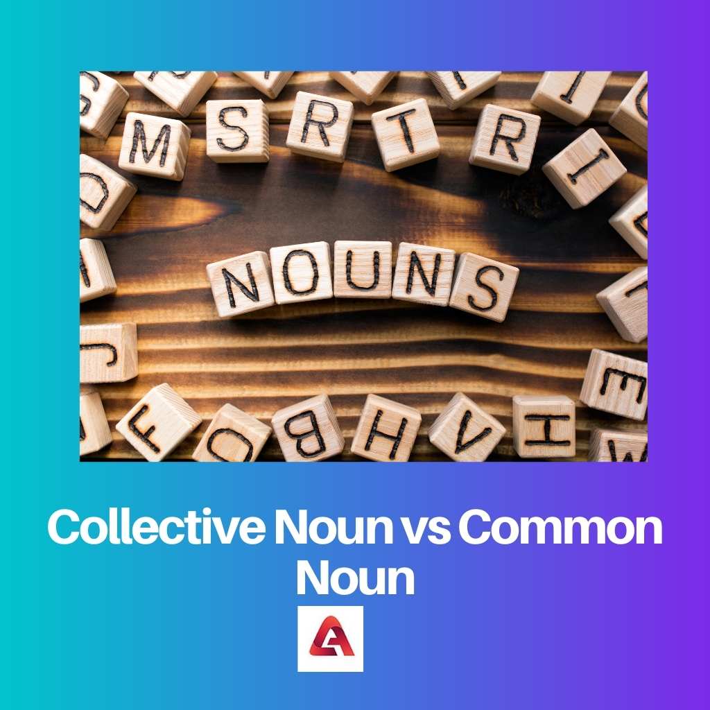 Nom collectif vs nom commun
