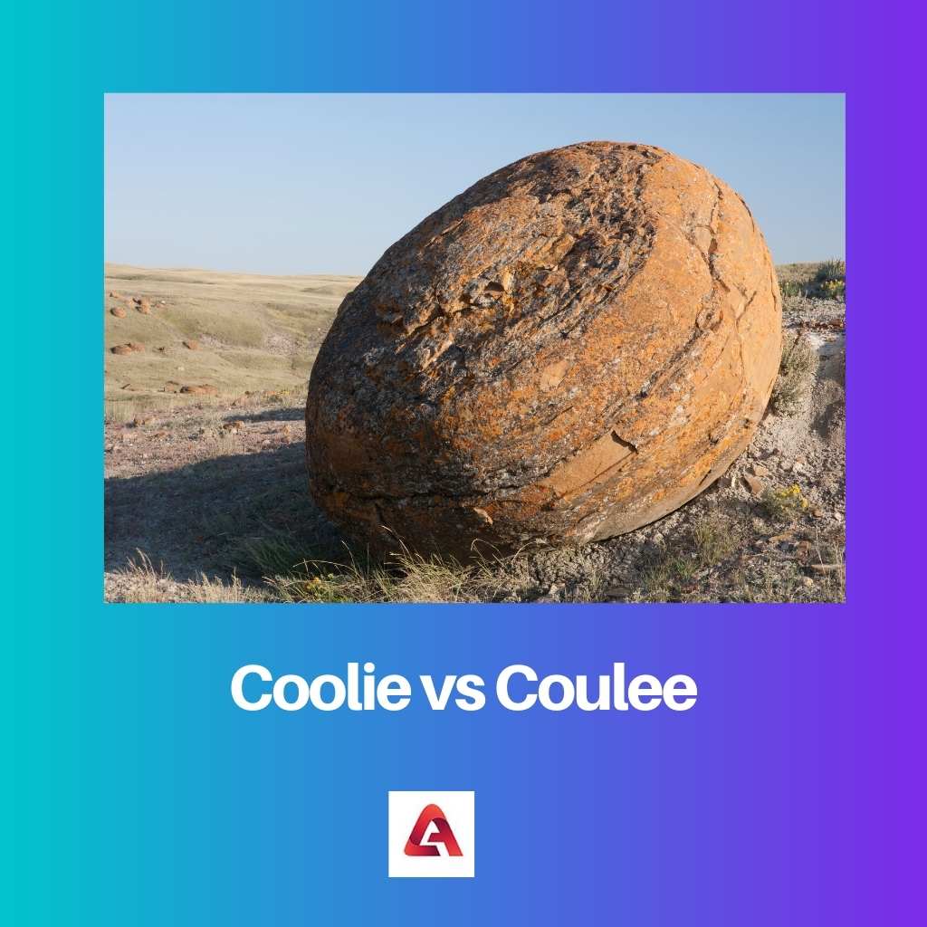 Coolie vs Coulée