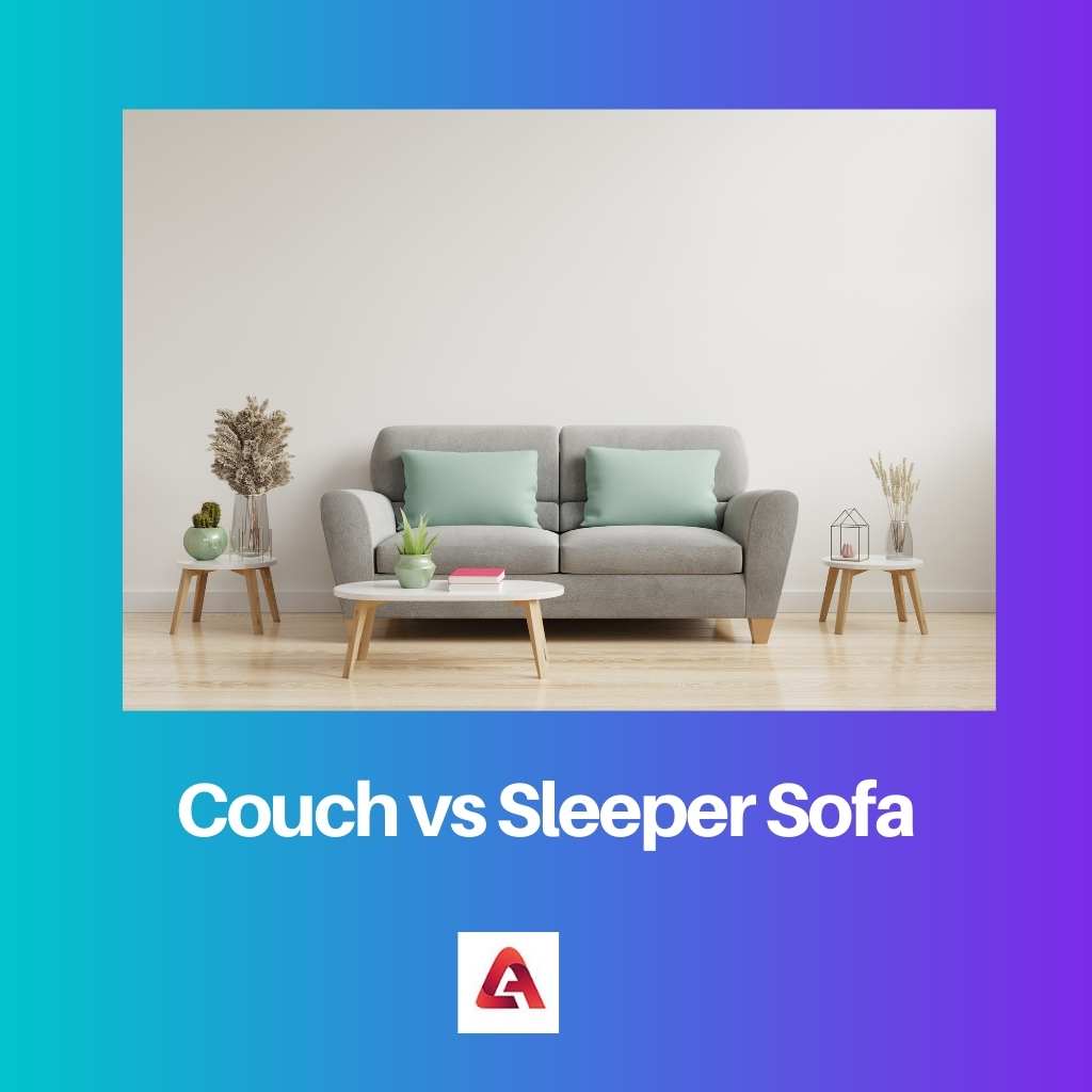 Couch vs Sleeper Sofa